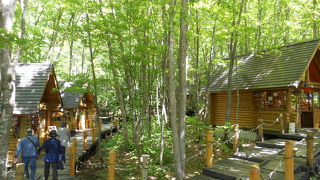 お洒落なお土産が見つかるかも