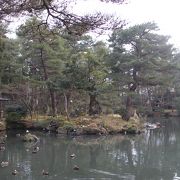 池のある庭園は見事です。ただ、とにかく寒かったです