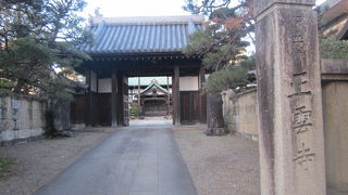 山門屋根のシャチの装飾と、本堂前の棕櫚が素晴らしかったです