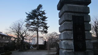 樹木が凄く粗放的に植栽されている風情のお寺でした