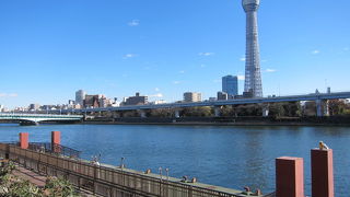 隅田川からの東京の街並は素敵