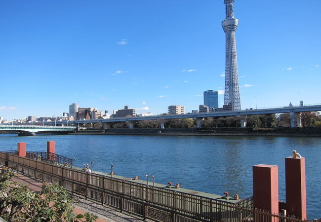 東京水辺ライン 両国 お台場クルーズ クチコミ アクセス 営業時間 両国 フォートラベル