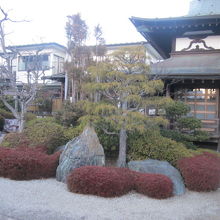 庭といえるレベルかどうかは解りませんが…。