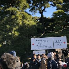 一般参賀をした帰りは道はふたてに別れ左に行くと乾どおり