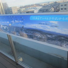 こういう案内板も嬉しいですね。