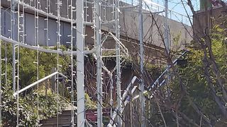 なんばパークス