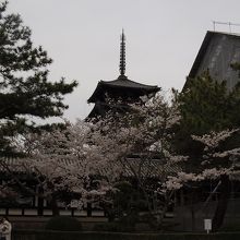 五重塔が見える境内