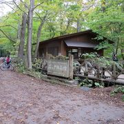 苔むした感じがしっとり