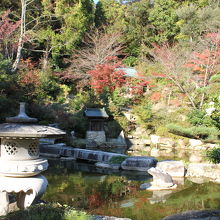 本堂横の庭園も見応えあります