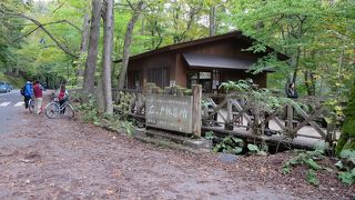 苔むした感じがしっとり