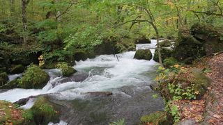 なかなか美しい