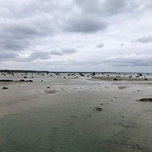 かすかに魚垣の痕らしきものが見える