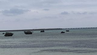 きのこのような