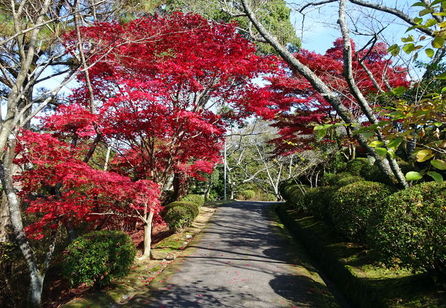 杉村公園 クチコミ アクセス 営業時間 高野山周辺 フォートラベル