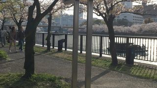 毛馬桜之宮公園