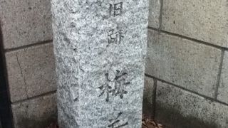 東白鬚公園横の木母寺内にある