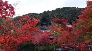 もみじの永観堂