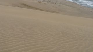 想像以上に広かった