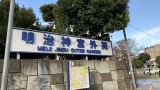 イチョウを期待して。