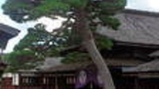 現存する代官所