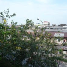 緑の樹々が多いポーニミット駅の周辺です。静かな環境です。