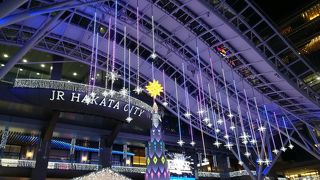 いい時期に行けて良かった