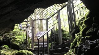 コウモリは見かけませんでした。