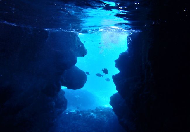 【伊良部島】ツアー参加で幻想的な青の洞窟へ