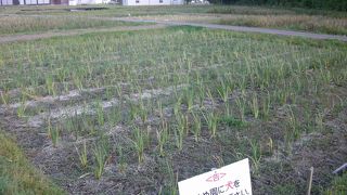 多賀城跡の一角にあります