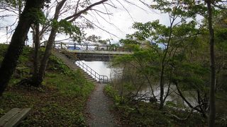 気持ちよく散策