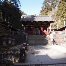 期待が膨らみます