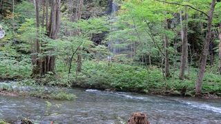 看板がないとわかりにくいかも