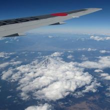 翼と一緒に１枚