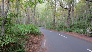 滝はたくさんありました