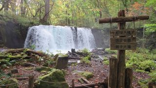 最後に大きな滝を見ました