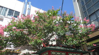 南京町の中心です