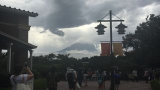 犬を連れておでかけ