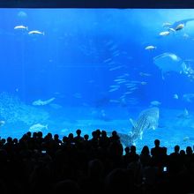 人垣がスゴッ！