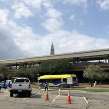 低い建物が多いアレキサンドリアで異彩を放つ高さです。