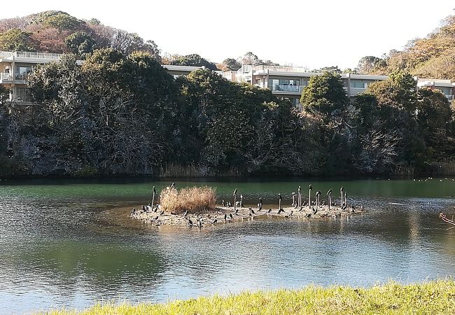 長浜公園 クチコミ アクセス 営業時間 八景島 フォートラベル