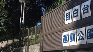 芝生広場が印象的