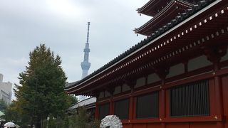 裏手を護る狛犬