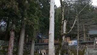 御柱が立ってた