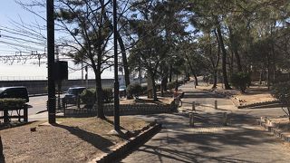 須磨海岸沿いの細長い公園です