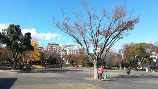 サカタのタネとスケートリンク場の間に位置します