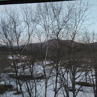 部屋からの眺めです。