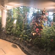 日本最少の植物センター