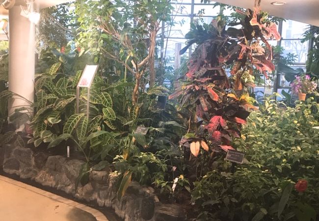 渋谷区ふれあい植物センター クチコミ アクセス 営業時間 恵比寿 代官山 フォートラベル