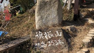 ちょっとだけ六甲縦走