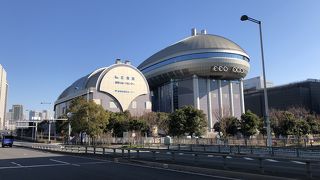 名前が気になる    虹の？